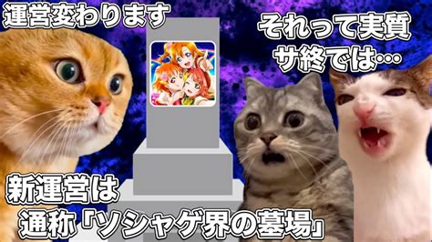 運営が変わって捨てられたラブライブのソシャゲ【猫ミーム】 猫マニ 猫ミーム Youtube