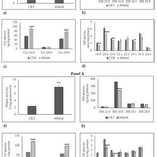 Effect Of Oh Vd On Gl U And Ln Cell Viability Cells