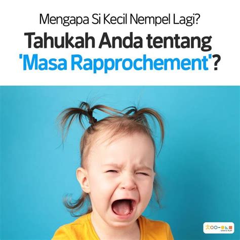 Mengapa Si Kecil Nempel Lagi Tahukah Anda Tentang Masa Rapprochement