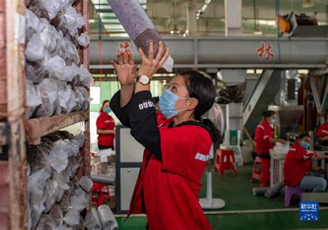 彪炳史冊的人間奇蹟——黨的十八大以來我國脫貧攻堅成就舉世矚目