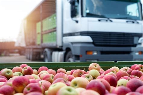 Principales Cuidados En El Transporte De Alimentos Robustec