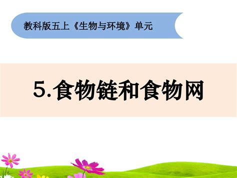 新教科版小学五年级上册科学《食物链和食物网》教学课件word文档在线阅读与下载无忧文档