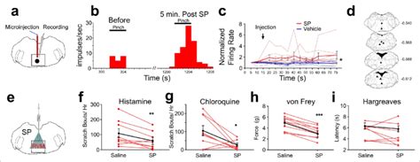 Effects Of Intramedullary Microinjection Of Sp On Rvm On Cells And Itch