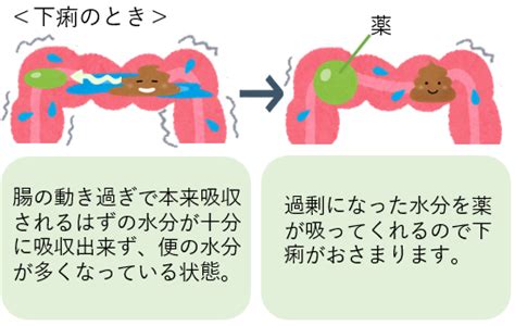 「過敏性腸症候群 Ibs のはなし」 薬と健康のはなし 複十字病院 公式サイト（東京都 清瀬市）