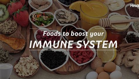 Boost Your Immunity With These 7 Essential Health Foods Sg