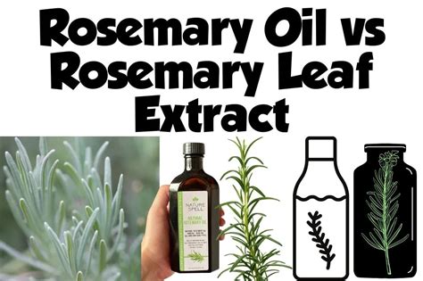 Castor Oil Vs Rosemary Oil For Hair Growth