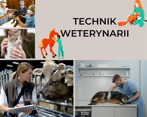 Technik Weterynarii Zesp Szk Nr Centrum Kszta Cenia