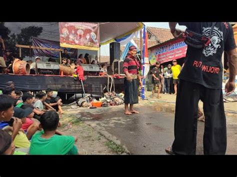 Live Jaranan Hari Ini Turonggo Satrio Putro Wijoyo Buduk Sidokerto