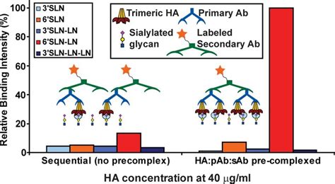 Binding Assay To Capture Multivalent Ha Glycan Interactions Shown Is A