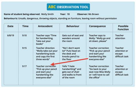 2.4 Observing behaviour – Trauma Informed Behaviour Support: A ...