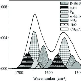 The Amide Iii Region Of The Infrared Spectrum Of Pll Ph At C