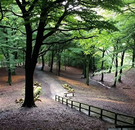 Tandle Hill Country Park 2024 All You Need To Know Before You Go