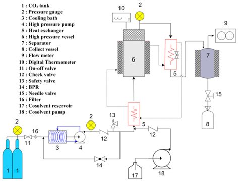 Schematic Diagram Of Supercritical Fluid Extraction With Ethanol As Download Scientific Diagram