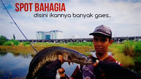 Info Spot Casting Ikan Gabus Surabaya Youtube