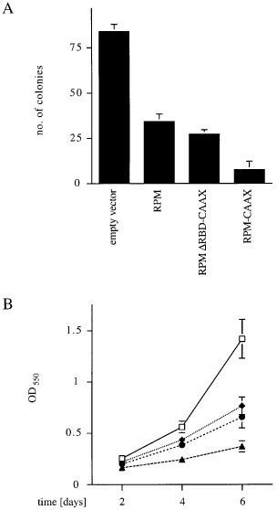 Rpm Rgl Inhibits Growth Of Nih T Fibroblasts Expressing Activated Src