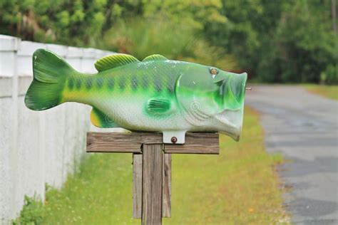 Fish Mailbox stock image. Image of enthusiast, correspondence - 43683319