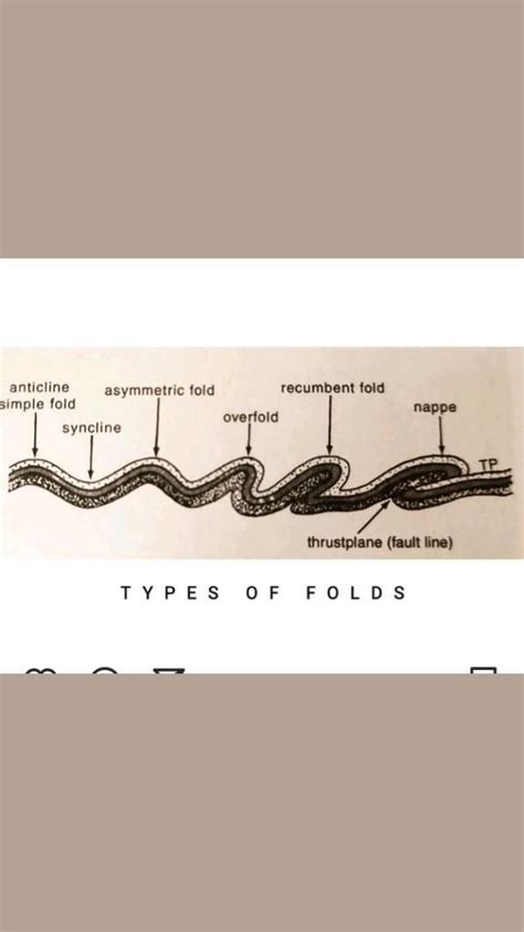 Fold Mountains Types Of Folds For Geography Students To Save For Later