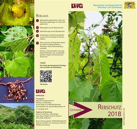 PDF Bayerische Landesanstalt für Weinbau und Gartenbau SpinTor