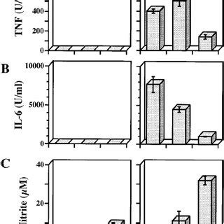 Effect Of Lps Pretreatment To Murine Pec On Their Tnf Il And No