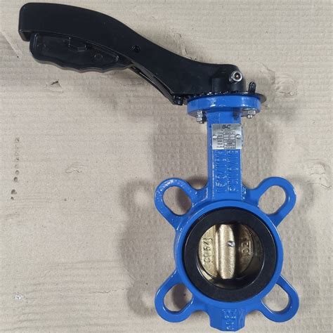 Pn Ductile Iron Ductile Iron Lugged Butterfly Valve China