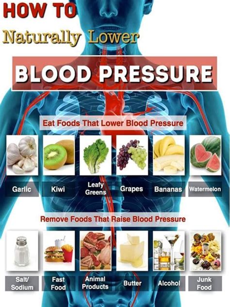 The 25 Best Blood Pressure Ideas On Pinterest Lower Blood Pressure