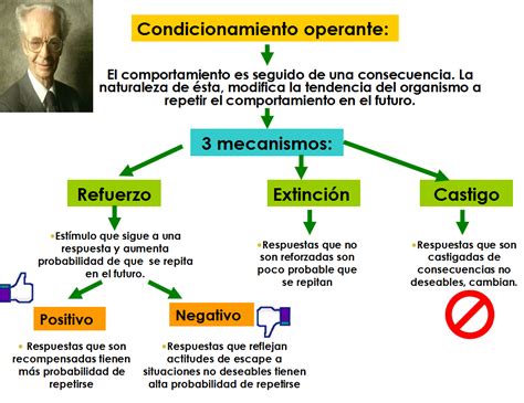 Skinner y el condicionamiento operante teoría explicada Teoría Online