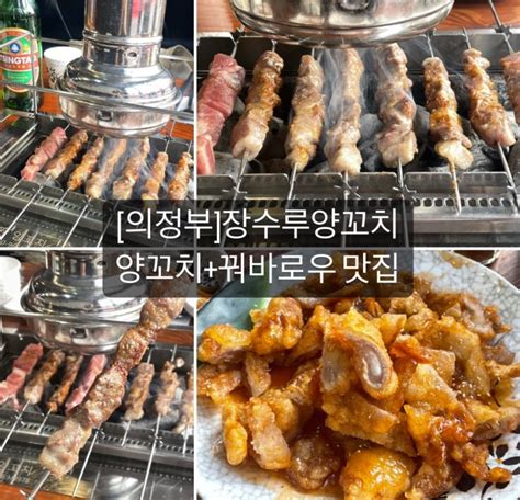 의정부 장수루양꼬치 양꼬치 인생맛집 꿔바로우 추천 네이버 블로그