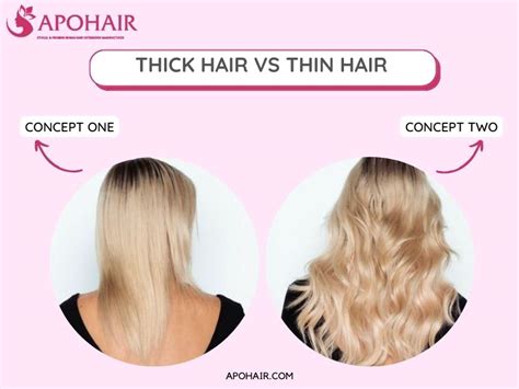 thick hair  thin hair    differences