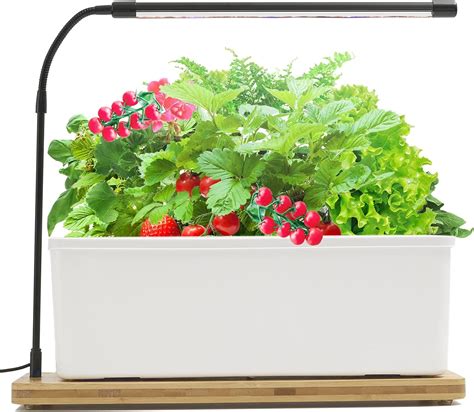 Amazon Hydroponics Growing System Indoor Herb Garden Kit With LED