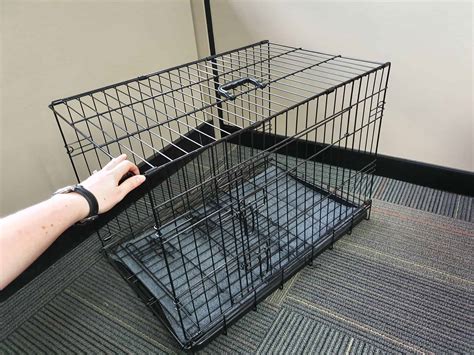 Extra Large Collapsable Cat Crate 42