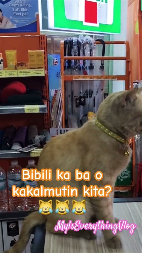 Mukhang Masungit Pero Mabait Na Meow Pumasok Sa Store Para