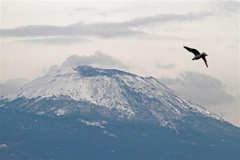 Venti A Kmh A Napoli Alberi Sradicati Vesuvio Imbiancato Prima