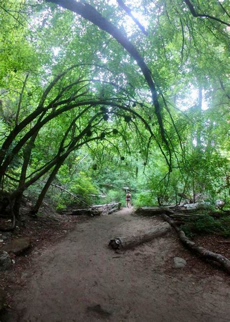 West Fork Trail | Arizona adventure, State parks, Adventure