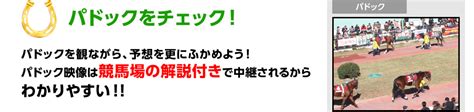 競馬のライブ中継！（無料）オッズパークは、過去レースの映像もチェックできるから競馬の予想にも大活躍！！｜オッズパーク競馬
