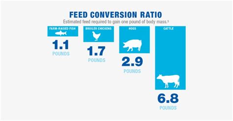 Gaa Food Supply Infographic Feed Conversion Ratio Feed Conversion