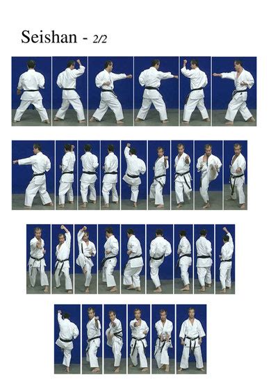 Seishan Kata Wado Ryu Ryu Wado