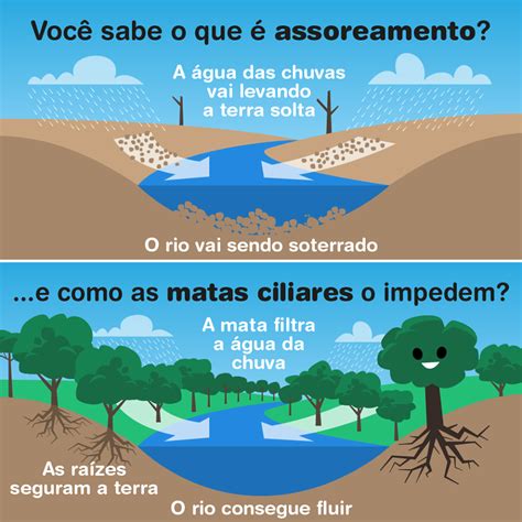 Biboca Ambiental Ecologia Dos Rios Para Crian A Conceitos