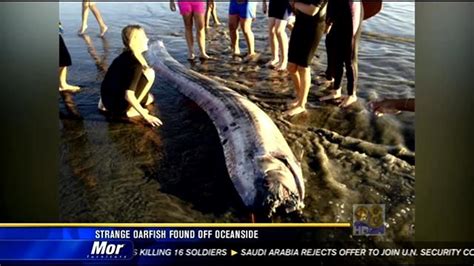 New 14 Foot Sea Serpent Found In Southern Calif