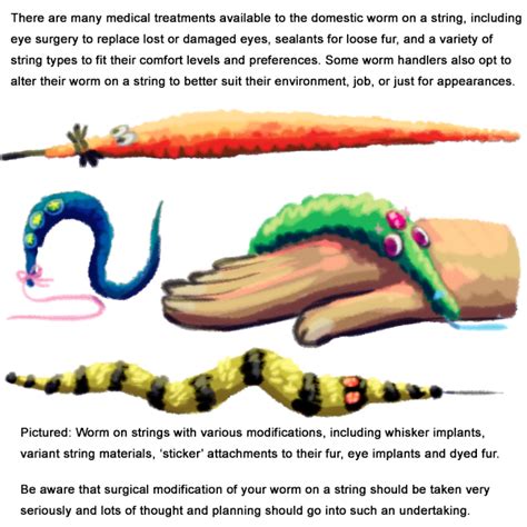 Altamaranempire I Made A Ridiculous Educational Pamphlet On Worm On A