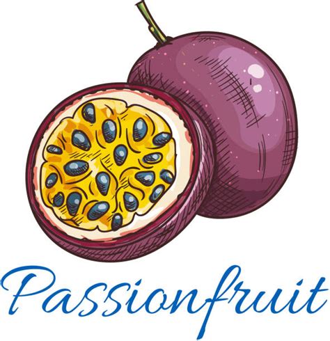 Passion Fruit Illustrations Royalty Free Vector Graphics And Clip Art Istock