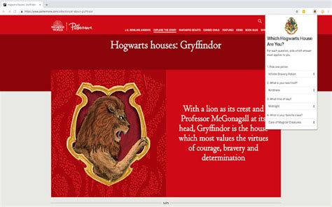 Which Hogwarts House Do You Belong In In Chrome