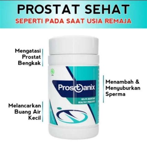 Jual Obat Herbal Resmi Prostanix Asli Kapsul Herbal Obat Prostat Prostanix Asli 100 Original