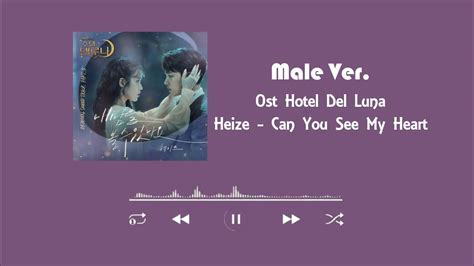 Male Ver Heize Can You See My Heart Hotel Del