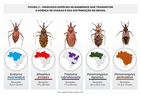 Vorlene E Chagas - Doença de Chagas – SESPA