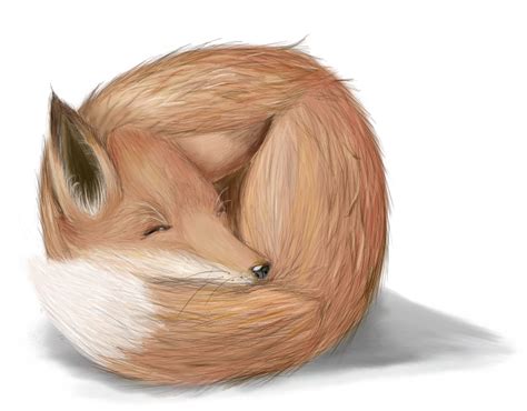 Realistic Fox by FinsterlichArt on DeviantArt