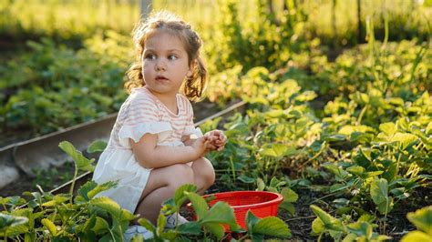 Comment découvrir le jardinage avec mon enfant