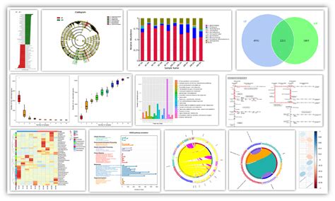 Microbiome Analysis 16s Rrna Amplicon Bio Big Data 3 Bigs