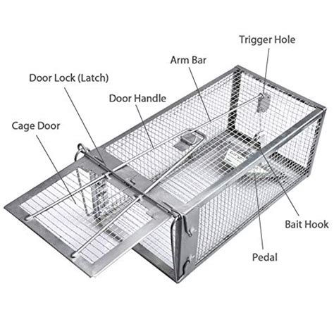 Gingbau Live Traps For Chipmunks Rats And Mice Set Of 2 Pricepulse