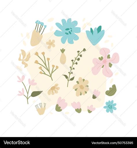 Hand drawn flowers botanical various nature Vector Image