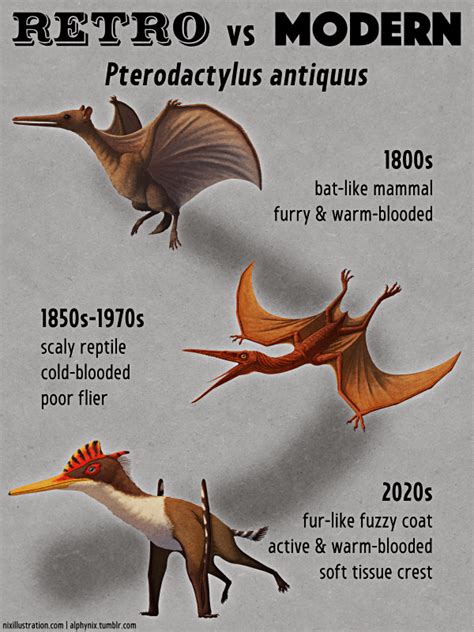 Retro Vs Modern 18 Pterodactylus Antiquus In 2022 Prehistoric